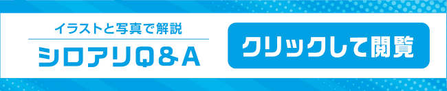 イラストと写真で解決 シロアリQ&A クリックして閲覧