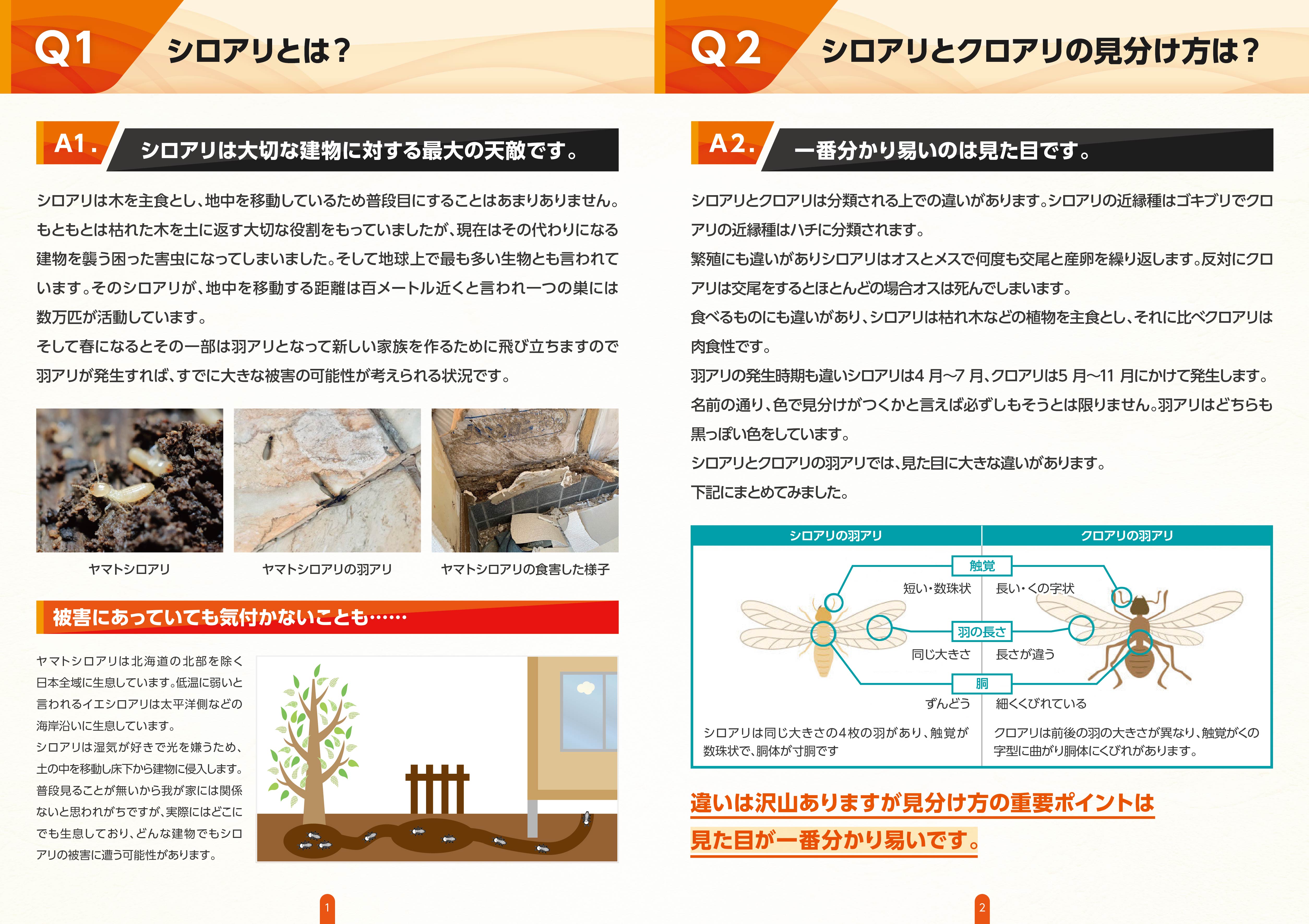 Q1.シロアリとは？ A1.シロアリは大切な建物に対する最大の天敵です。 Q2.シロアリとクロアリの見分け方は？ A2.一番分かりやすいのは見た目です。